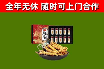 武胜县回收冬虫夏草价格